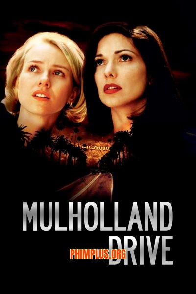 Con Đường Ảo Mộng