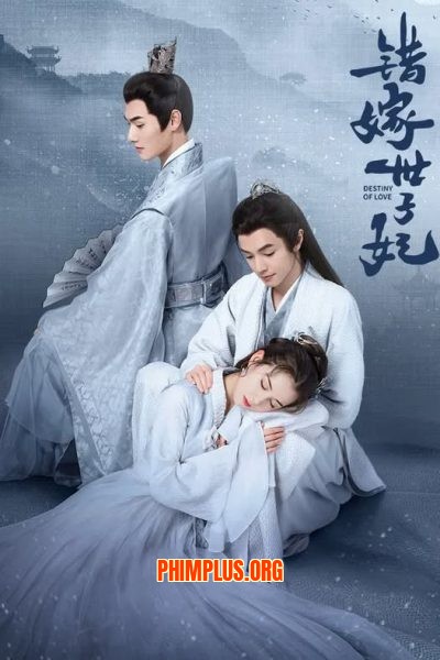 Gả Nhầm Thế Tử Phi