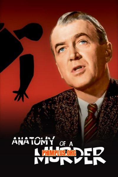 Mổ Xẻ Một Vụ Án Mạng