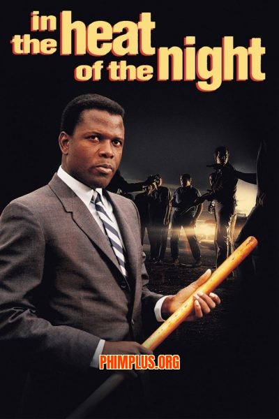 Sức Nóng Màn Đêm