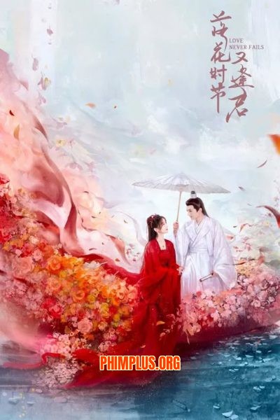 Mùa Hoa Rơi Gặp Lại Chàng