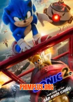 Nhím Sonic 2