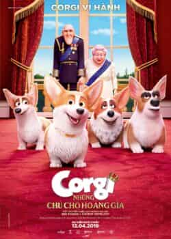 Corgi Những Chú Chó Hoàng Gia